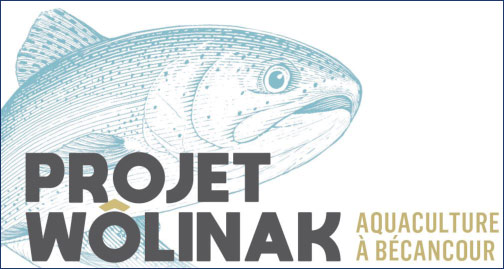 Projet Wolinak